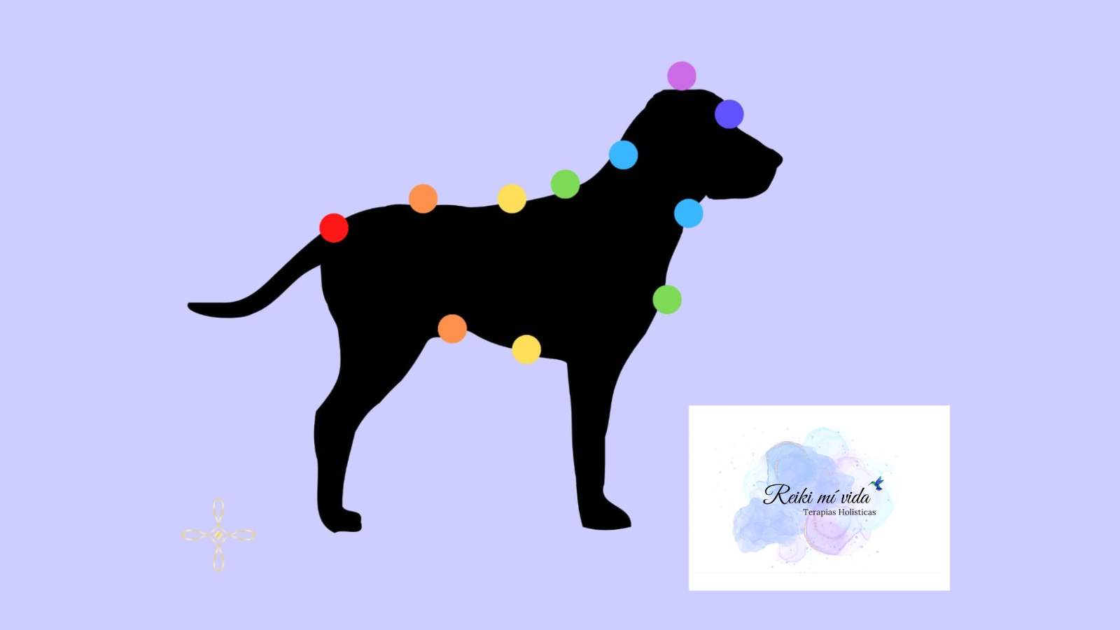 reiki sanación para mascotas reiki para animales